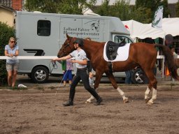 IMG_0797_web